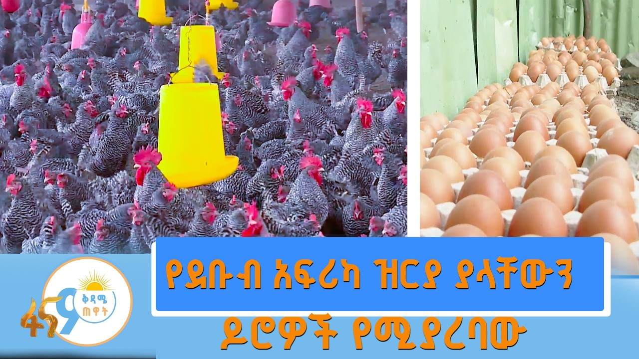 ለአዋጭነቱ እኔ ምስክር ነኝ