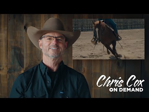 Introducing Chris Cox On Demand!