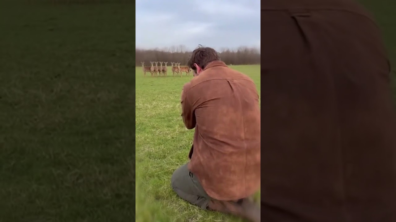 Baby Deer Loves Her Dad So Much 💖