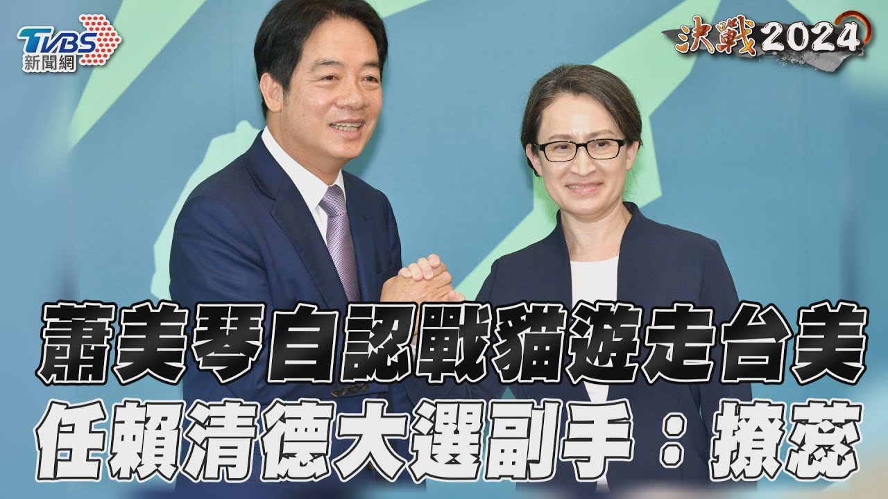 影音/蕭美琴自認戰貓遊走台美 任賴清德大選副手:撩蕊