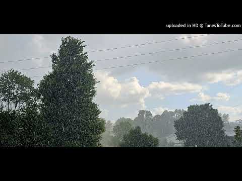 Lemzly Dale - More Life