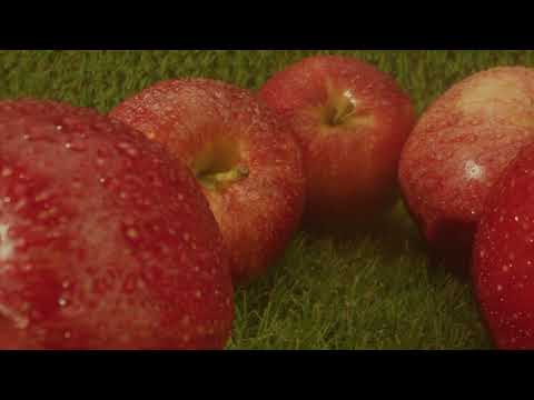 An apple a day keeps the doctor away