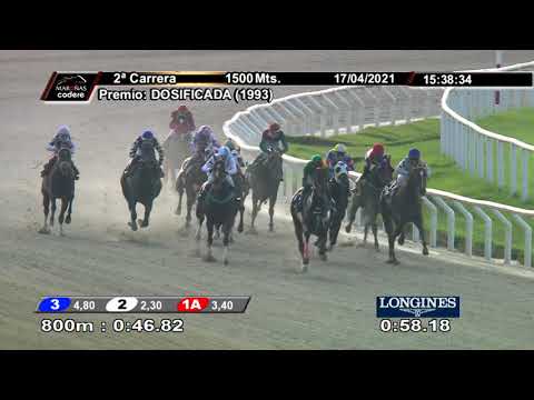 210417 c02 ABRACO DE URSO