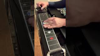 Garth Brooks - Much Too Young (Pedal Steel Guitar Cover)