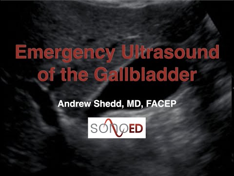 Focused Gallbladder Ultrasound in the Emergency Department