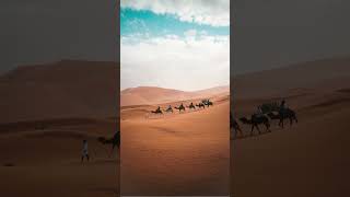 Trans Saharan Trade and Islam #africa  #history