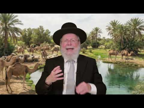 EINIGE KOMMENTARE ERKLÄRT VON RASCHI | Vayishlach - Oberrabbiner Raphael Evers