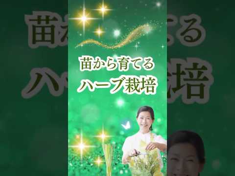 医療ビジネス薬科学科 2025年2月1日