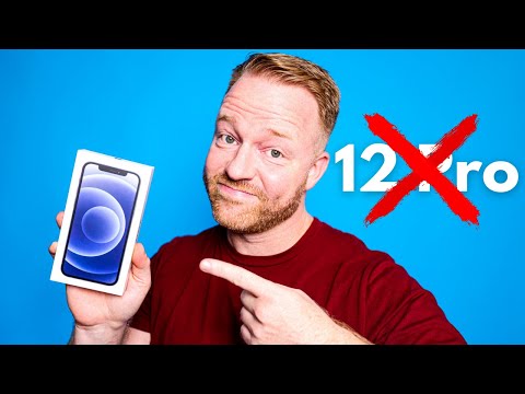 Do NOT buy the iPhone 12 Pro!!! | iPhone 12 Black Review (24 hours later)