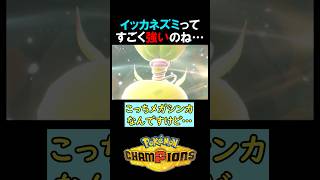 イッカネズミって、強いねぇ…( ﾟДﾟ)【ポケモンチャンピオンズ実況 切り抜き】