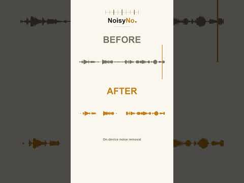 NoisyNo: Voice Noise Remover