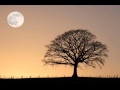 Bobby Lyle - Poinciana *k~kat jazz café* The Smoothjazz Loft - K - Kat Blues Jazz Bobby Lyle - Poinciana *k~kat jazz café* The Smoothjazz Loft