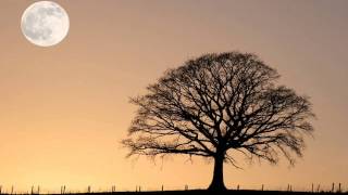 Bobby Lyle - Poinciana *k~kat jazz café* The Smoothjazz Loft