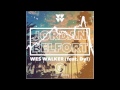 Wes Walker - Jordan Belfort ( Wildabeast Remix ...