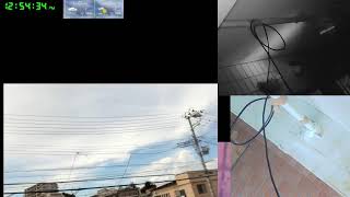 【ツバメさんSwallow】20230731-0801電線空配信´・ω・｀)Wild birds
