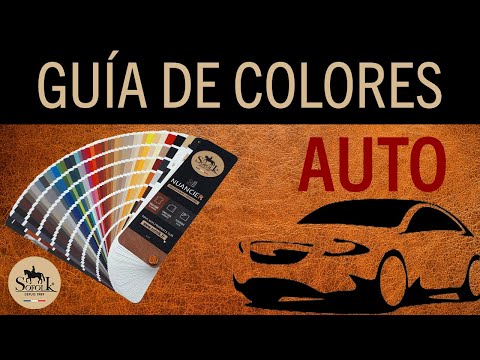 VIDEO : RENOVACIÓN DEL CUERO DEL COCHE: ELEGIR EL COLOR ADECUADO | SOFOLK.fr