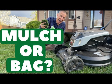 Mulching vs. Bagging Grass Clippings: Which is Better for Your Lawn?