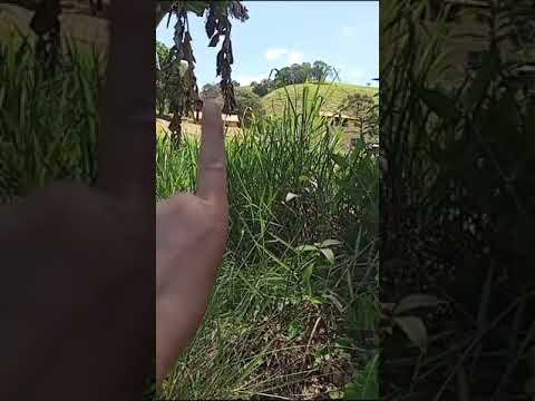 Casa nova com laje composta por 2 quartos, Sala/ cozinha, 1 banheiro social, varanda Camanducaia | MG Cód. 1138