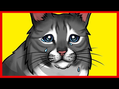 16 Ways to Tell Your Cat 'I Love You' so They Can Understand