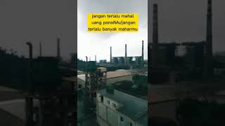 Download lagu dear ciwi ciwi story wa anak IMIP #shorts mp3 Download lagu dear ciwi ciwi story wa anak IMIP #shorts mp3