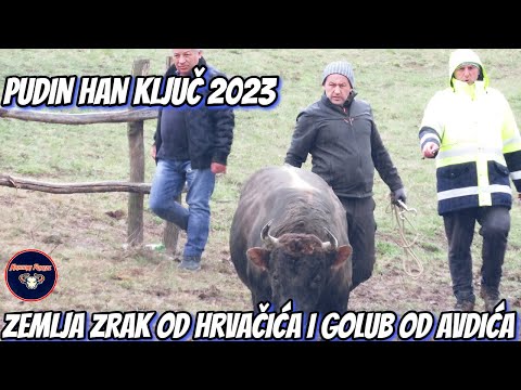 ZEMLJA ZRAK OD HRVAČIĆA I GOLUB OD AVDIĆA PUDIN HAN 2023 KORIDA