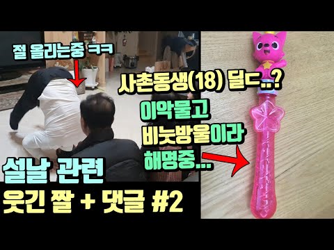 유쾌한 한국인들이 설날을 보내는법ㅋㅋㅋ 드립, 웃긴 댓글 정리 ...