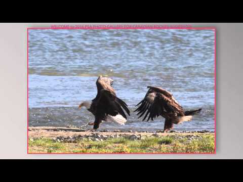 2016 PSA PHOTO GALLERY FOR CANADIAN ROCKIES FINAL