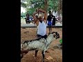 Keda Vettu Pannerkulam Mahendren ️