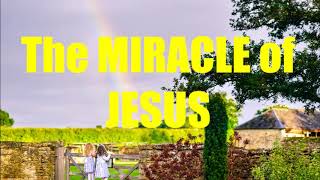 The Miracle of Jesus