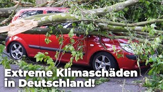 Extreme Klimaschäden: Deutschland ist Nr. 3 auf Klima-Risiko-Index! - 