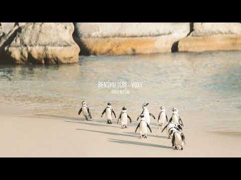 BENSHU (SB) - Voxy