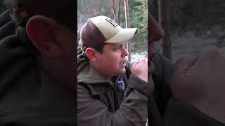 Kaum zu fassen - Jagd auf Muffelwild in Deutschland #jagd #huntondemand