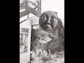It S Great To Be An Engine