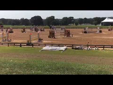 HSS Cormick. 2006 Oldenburg Gelding. Cormint x Quick Star