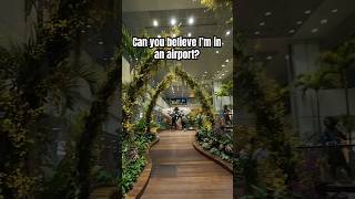 Back to the best airport in the world! #singapore #changiairport #southeastasia #traveltheworld