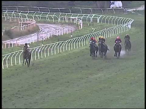 Galoppo 06/02/2015 - 4° corsa