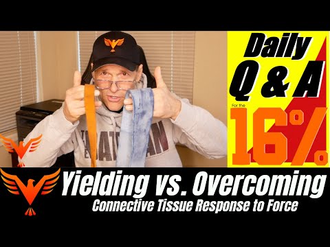 Q & A for The 16% - Yielding/Overcoming Action - Magnitude - Location - Duration - BillHartmanPT.com