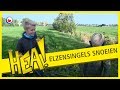 HEA! Elzensingels snoeien