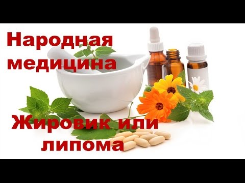 Народное лечение суставов лопухом Болит ли спина при воспалениях