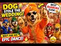 Would You Dance With This Bhangra Dog At A Punjabi Wedding