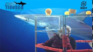 DIA 3 Expo Tiburon201