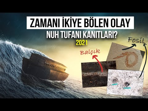 Noah's Flood: All the Curiosities! (EVIDENCE IS REVEALED!) 2021