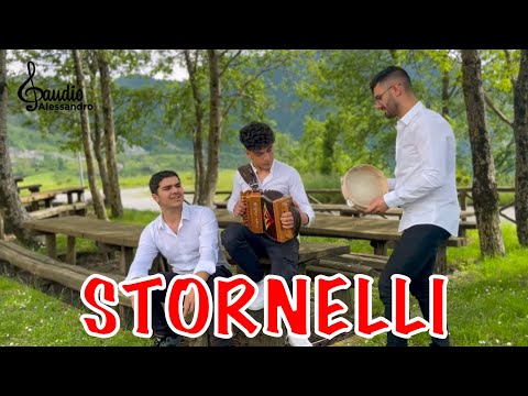 Stornelli cantati (ALESSANDRO GAUDIO & I GIOVANI DELL’ORGANETTO Tarantella Calabrese)