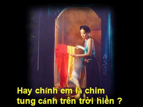 Thể hiện bởi Dương Thái Dũng