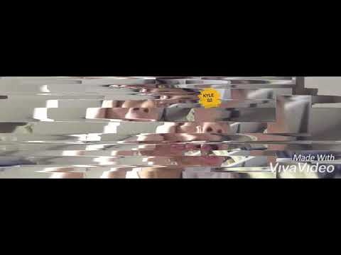 Ang Mga Ibon!!!( GWAPO GANG VERSION with DANCE )