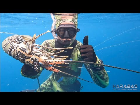EP778-P1 - Spearfishing in Palawan