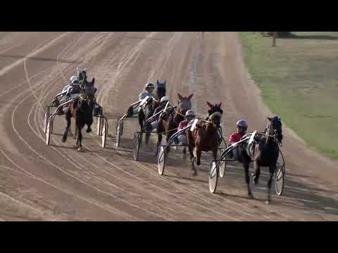 2019.03.30. 05. futam - SCOT PALMER DÍJ