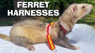 BEST Ferret Harness