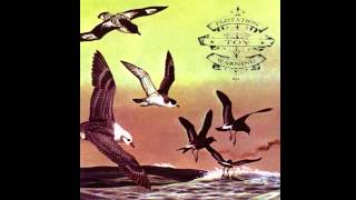 Flotation Toy Warning - How The Plains Left Me Flat (Official Audio)