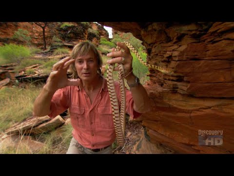 Austin Stevens Adventures - Australia's Lost Eden